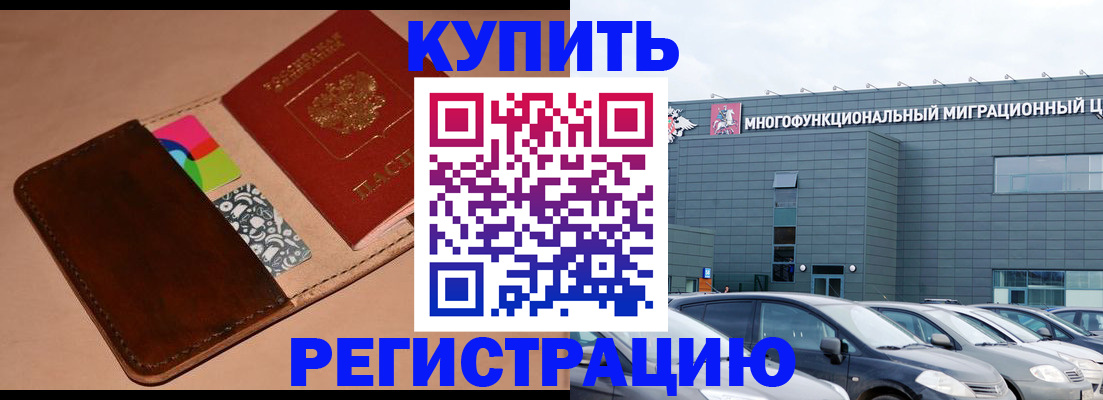 прописка поиск в Новозыбкове
